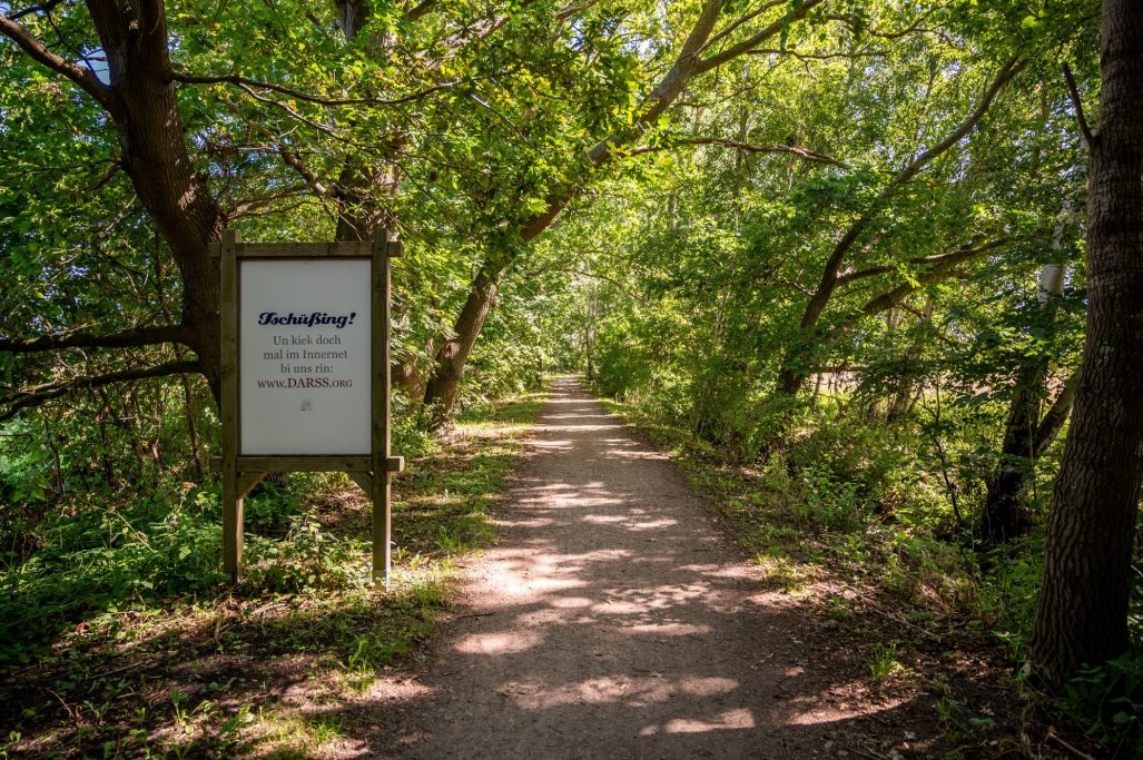 Direkt von der Wildrose starten Sie zu Fuß in den Darßwald.