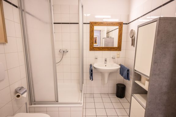 Helles Badezimmer mit Dusche, Waschbecken, Spiegel und modernen Möbeln.